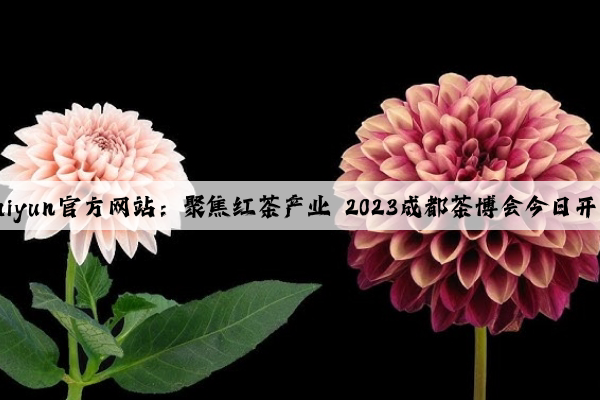 Kaiyun官方网站：聚焦红茶产业 2023成都茶博会今日开幕