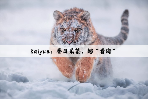 Kaiyun：春日采茶，趣“看海”