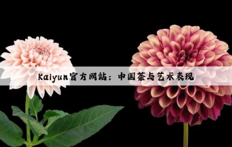 Kaiyun官方网站：中国茶与艺术表现