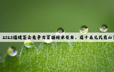 Kaiyun：2023福建茶企竞争力百强榜单发布，前十未见武夷山茶企！！