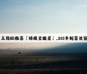 Kaiyun：百元入！王劲松推荐「特级金骏眉」,300年制茶世家打造，送礼稳了！