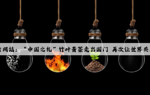Kaiyun官方网站：“中国之礼”竹叶青茶走出国门 再次让世界共品中国好茶